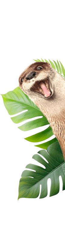 Otter