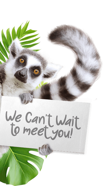 Lemur